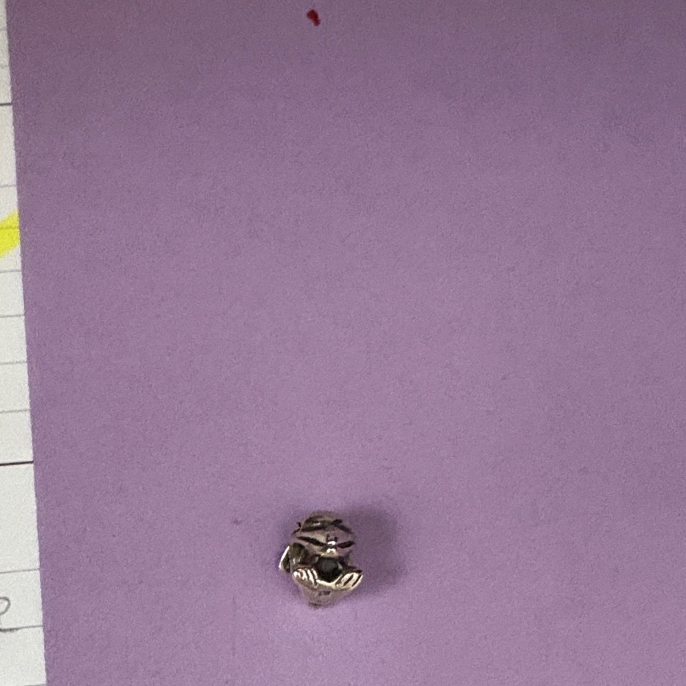 Pandora dolphin charm